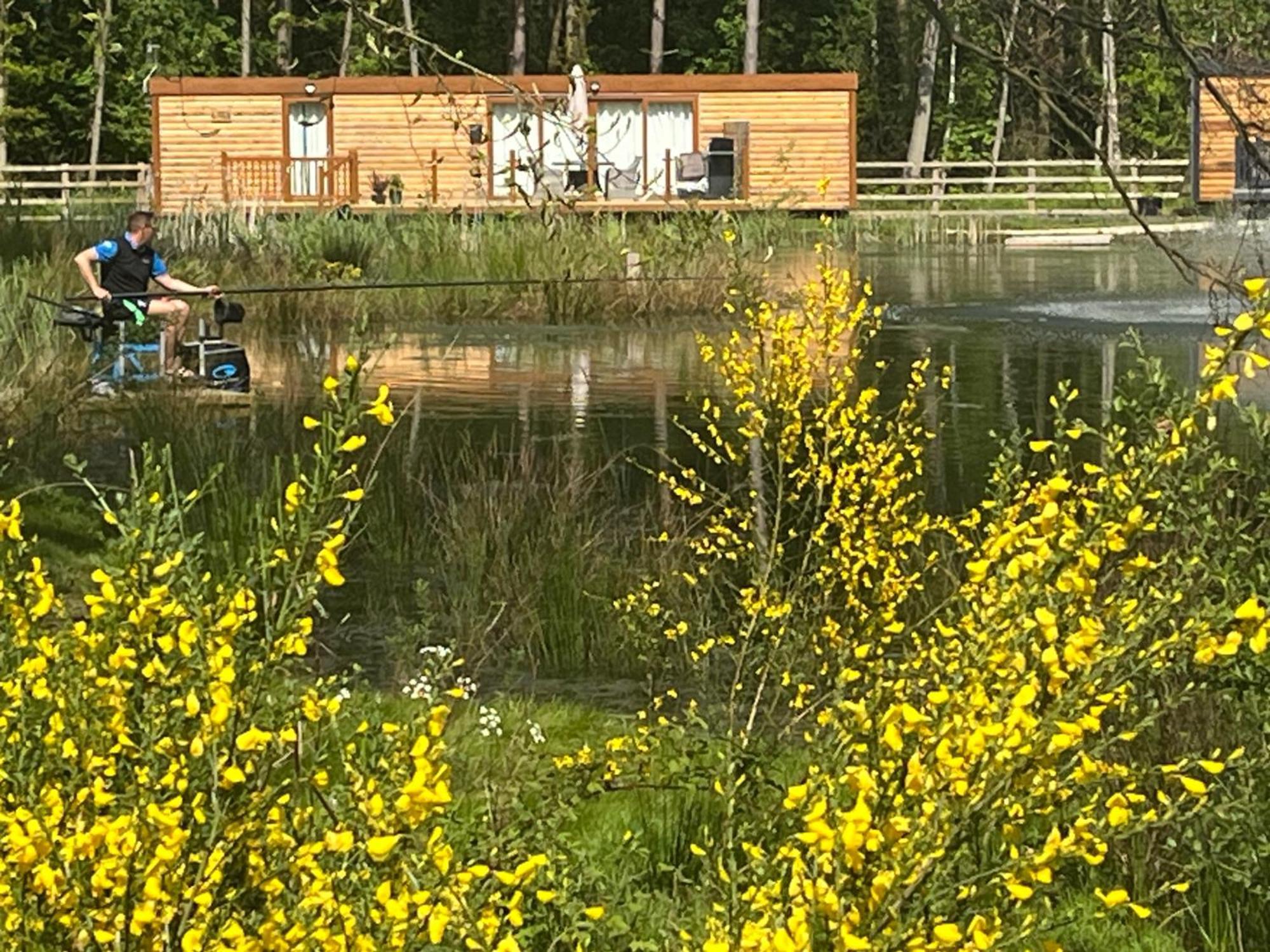 Rowan Boutique Lodge For Couples With A Dog York Esterno foto